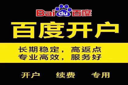 案例分析：百度竞价托管助力行业龙头